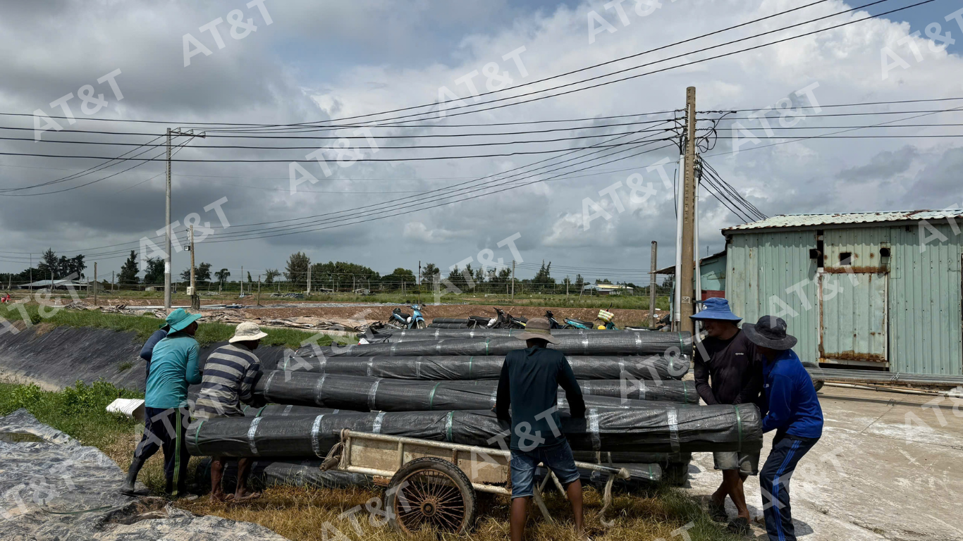 Chuẩn bị vật liệu bạt HDPE trước khi thi công.