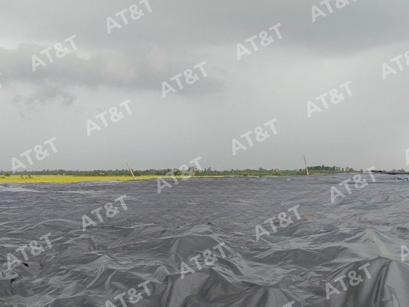 Màng chống thấm HDPE