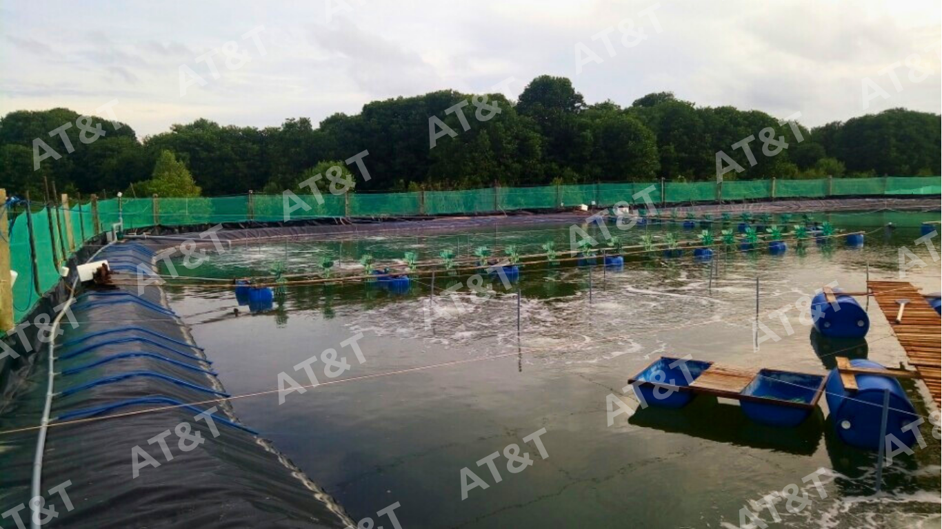 Hồ nuôi tôm được thi công bằng bạt HDPE