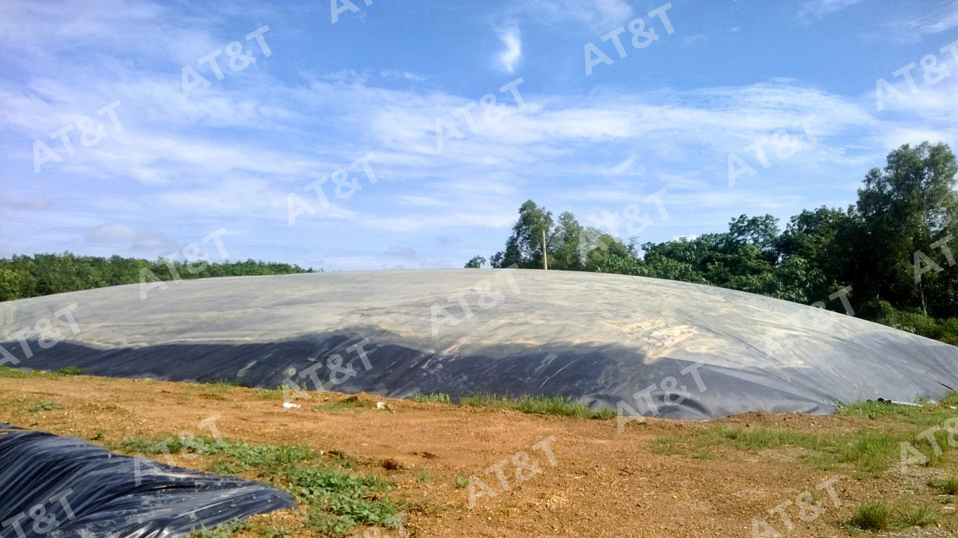 Thi công hầm Biogas cho trại heo Hà Lam (Bình Thuận)
