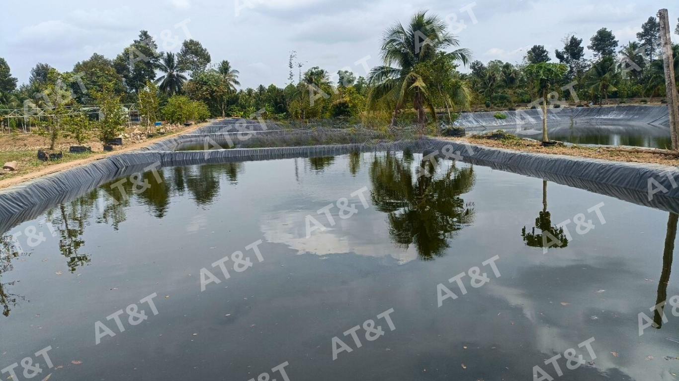Ứng dụng lót bạt HDPE cho ao cá tra 