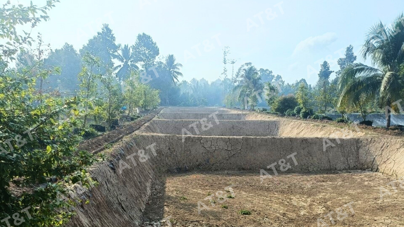 Xử lý mặt bằng ao nuôi