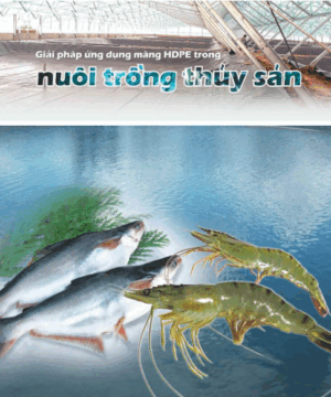 Ứng dụng màng HDPE trong nuôi thủy sản