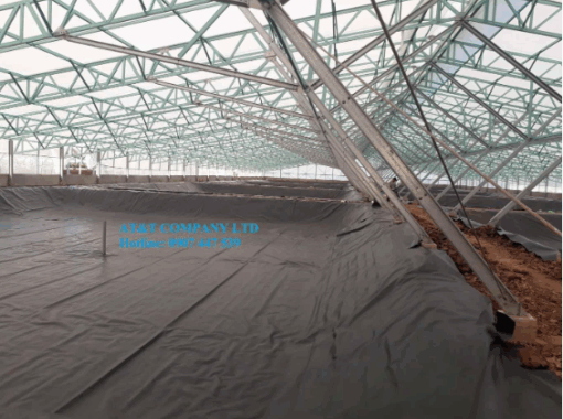 Ứng dụng màng HDPE trong nuôi thủy sản - Ảnh 2