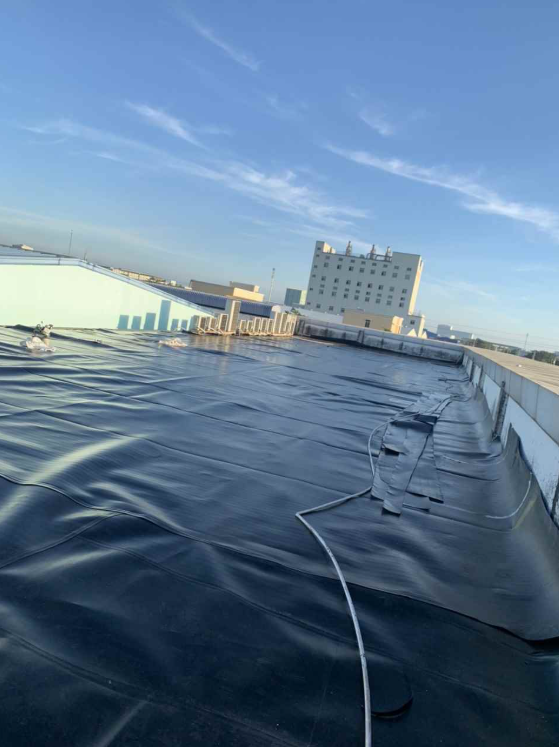 Màng HDPE trong xây dựng