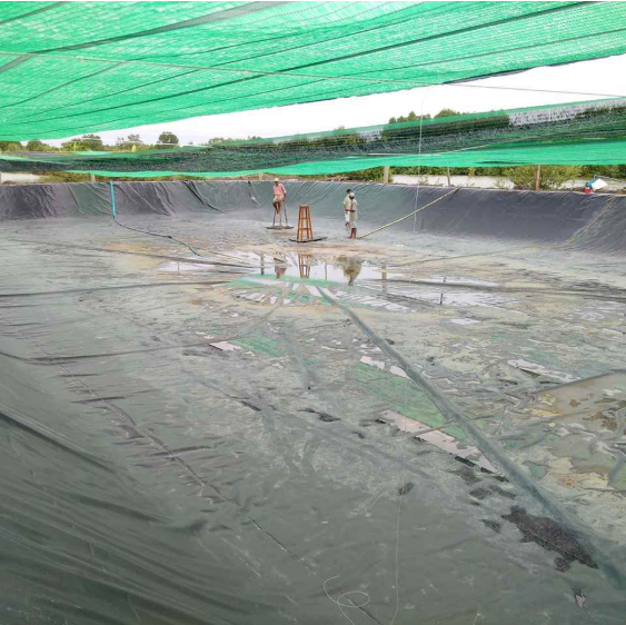 Ứng dụng lót bạt HDPE trong nông nghiệp