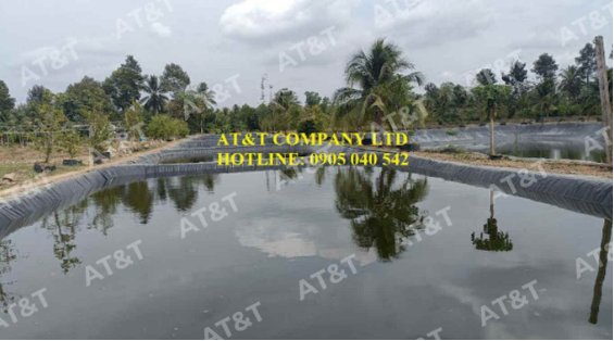 Thi công màng chống thấm cho ao nuôi cá Tra giống – Công ty CP XNK Thủy Sản Bến Tre