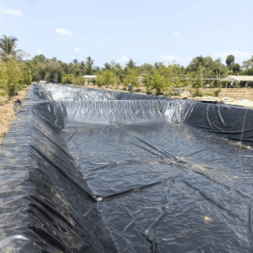 Ứng dụng màng HDPE trong nuôi thủy sản