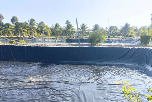 Ứng dụng màng HDPE trong nuôi thủy sản - Ảnh 6