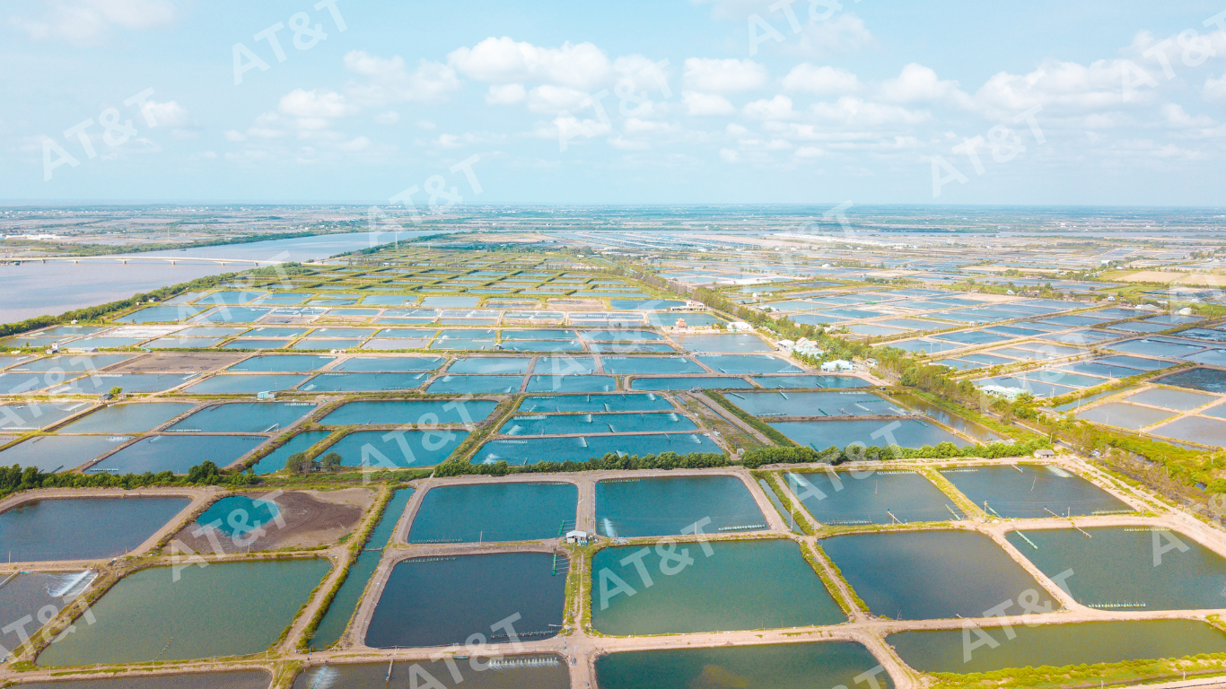 Ứng dụng đa dạng của màng chống thấm HDPE