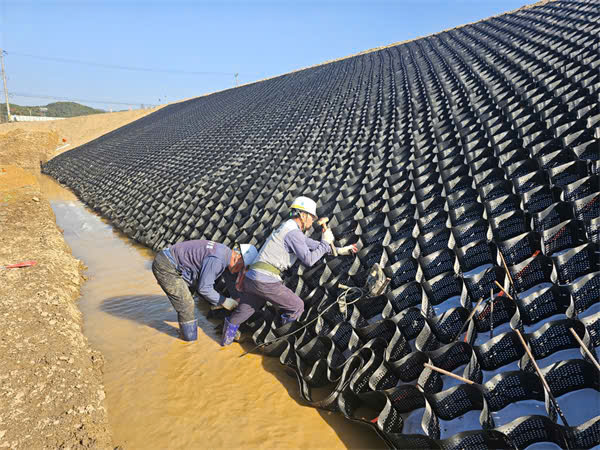 Ô Địa Kỹ Thuật - Ảnh 4