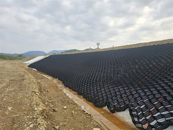 Ô Địa Kỹ Thuật - Ảnh 2