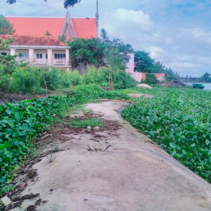 Ống Geotube loại mỏng