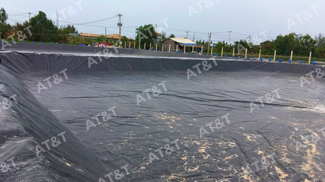 Bạt HDPE có tốt không? Tổng quan về bạt