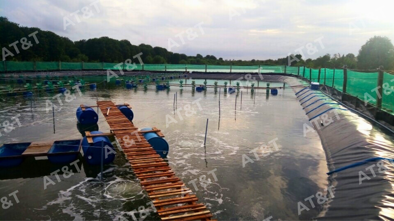 Bạt HDPE được ứng dụng trong hồ nuôi thủy sản