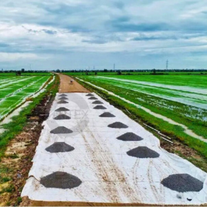 Vải địa kỹ thuật không dệt - Ảnh 4