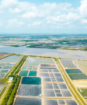 Màng HDPE trong nuôi trồng thủy sản