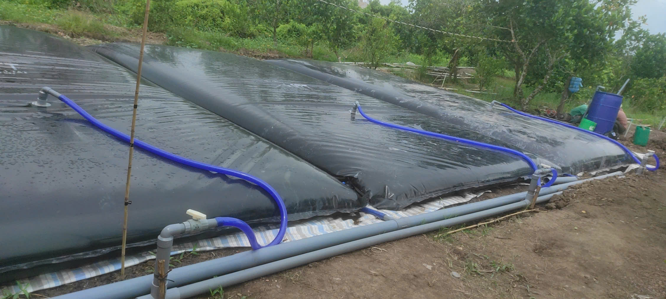 Túi chứa nước HDPE - Ảnh 6