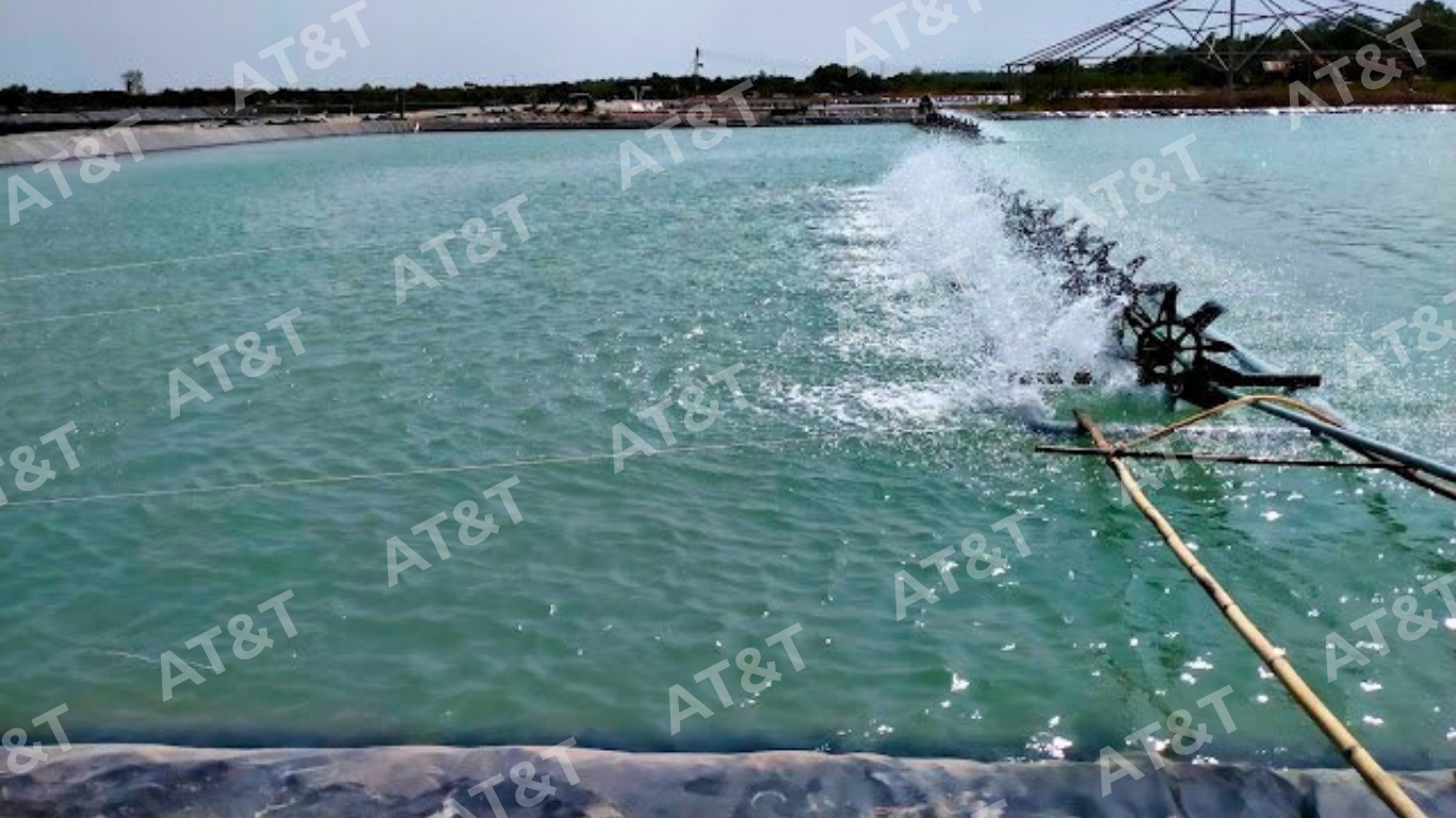 Hoàn thiện sau thi công và bàn giao