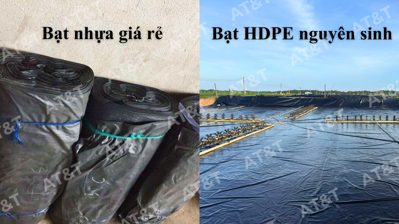 So sánh bạt HDPE và bạt truyền thống