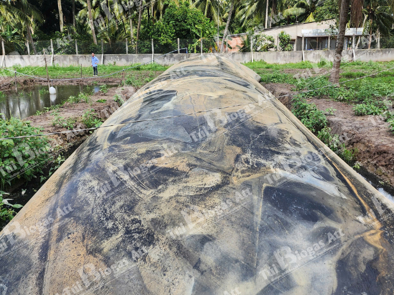 túi bi o ga siêu to khổng lồ