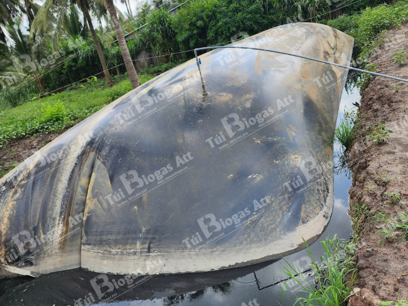 túi biogas khổng lồ