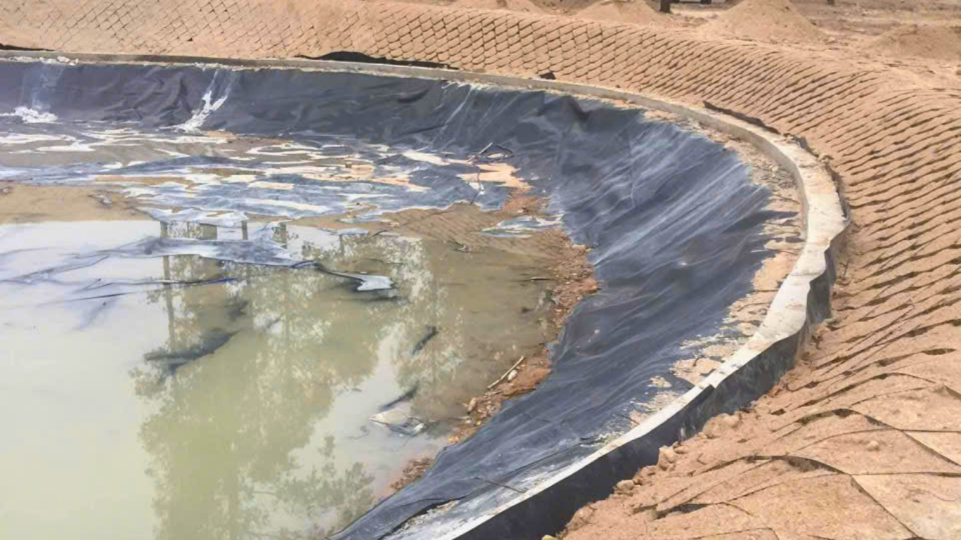 Hiệu quả thẩm mỹ sau khi thi công Neoweb đúng kỹ thuật