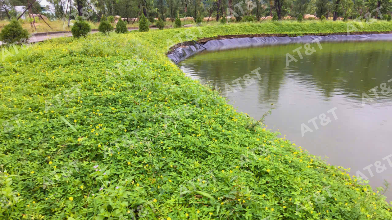 Hoàn thiện thi công bạt HDPE kết hợp Geocell