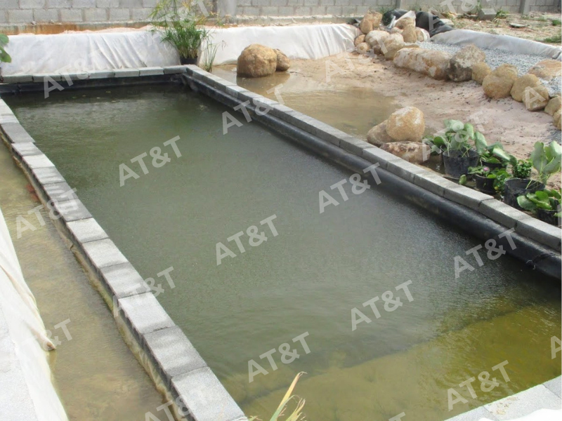 Hồ cá cảnh là một trong những ứng dụng phổ biến của màng HDPE trong các Homestay hiện nay.