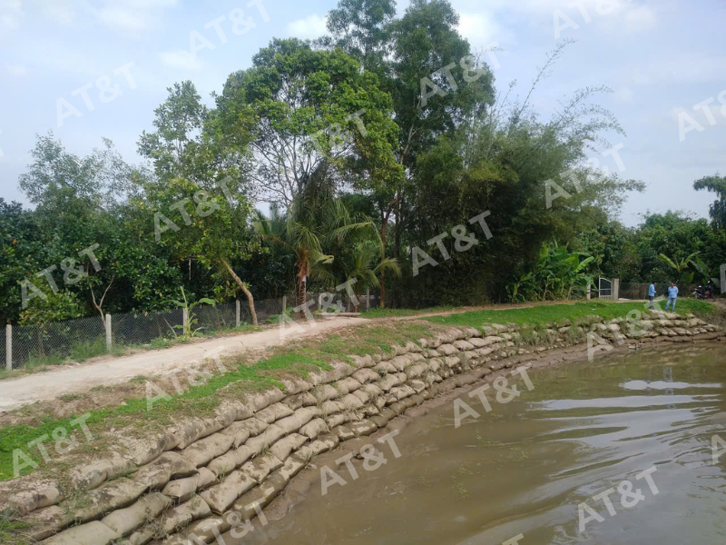  Sau 06 tháng đưa vào sử dụng