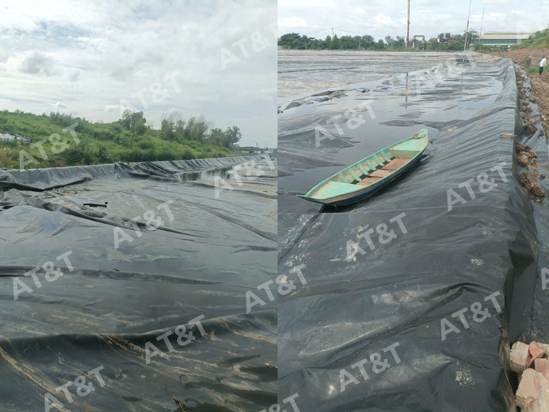bảo hành Hồ sinh học HVS2