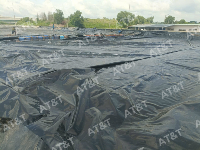 bảo hành Hồ sinh học HVS2