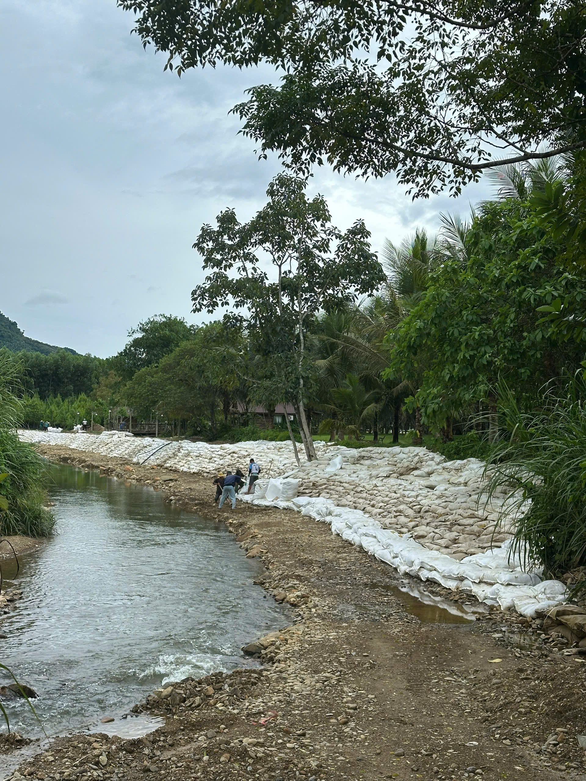 Bao Geobag làm kè được ATT cung cấp cho THE FARMERS